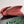 Borsa a tracolla BV Liberta con fibbia, 30 cm, in pelle di vacchetta rosso mattone