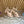 Prad 2026 Round-Toe Platform Sandals 75mm Cowhide 151253