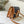 SINCE 1854 DAUPHINE 25CM CHAIN WALLET