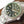 MILGAUSS 40MM STAINLESS STEEL GREEN BLACK ORANGE DIAL