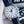 SEAMASTER AQUA TERRA 150M CO-AXIAL GMT  LEATHER STRAP