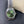 DAY-DATE 41MM STAINLESS STEEL CASE GREEN DIAL