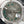 DATEJUST II 41MM STAINLESS STEEL CASE WIMBLEDON DIAL RUBBER STRAP