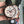 DAYTONA ROSE GOLD CASE 40MM WHITE DIAL RUBBER STRAP
