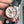 DAYTONA ROSE GOLD CASE 40MM WHITE DIAL RUBBER STRAP
