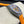 DAYTONA CARBON CASE ORANGE EDITION