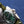 SUBMARINER DATE 40 HULK TESSILE 