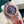 YACHT-MASTE EVEROSE GOLD BROWN DIAL
