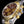 DAYTONA CUSTOM TWO-TONE RED PEARL DIAL