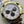 DAYTONA BICOLORE 116523 QUADRANTE PANDA 