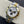 DAYTONA BICOLORE 116523 QUADRANTE PANDA 