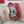 TANK AMERICAINE QUARTZ ORO ROSA QUADRANTE ARGENTO
