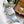 SANTOS 38MM ACCIAIO INOX AUTOMATICO 