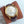 CONSTELLATION 40 GOLD CASE LEATHER STRAP