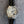 BALLON BLEU LADIES AUTOMATIC LEATHER STRAP