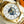 SEAMASTER AQUA TERRA 150M WORLDTIMER TWO TONE