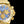 DAYTONA CUSTOM GOLD BLUE MOP DIAL