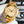 DAYTONA GOLD 40MM DIAMOND NUMERALS