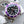 SUBMARINER DATE 40MM CUSTOM PURPLE BEZEL BLACK DIAL