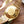 EXPLORER GOLD CASE 41MM