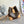 NOE PURSE 15CM MONOGRAM CANVAS