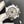DAYTONA 40MM METEORITE ROMAN DIAL 116509 RUBBER STRAP