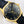OYSTER PERPETUAL 41 MOONPHASE GOLD CASE