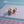 LOVE EARRINGS PINK GOLD 7.2MM