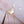 LUCKY BUTTERFLY PEDANT NECKLACE GOLD MOP