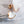 DIVAS DREAM EARRINGS PINK GOLD