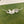GG BUTTERFLY BRACELET