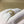 CD SHINY D RING GOLD