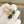 HAPPY HEART PINK GOLD MALACHITE EARRINGS