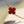 CLOVER 20 MOTIFS CARNELIAN GOLD
