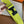 4.0CM YELLOW TEXTILE  BLACK LEATHER H BELT
