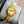 DATEJUST 28MM GOLD CASE