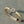 BRACCIALE CLIC CHAINE IN ORO ROSA
