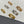 FORCE 10 CHAIN LINK LARGE AND MEDIUM MODEL