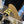 espadrilles yellow black lambskin