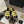 espadrilles yellow black lambskin