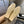 ballet flats beige silver lambskin canvas