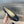 ballet flats black beige lambskin
