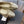 ballet flats light gold lambskin