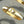 CLIC CHAINE GOLD BRACELET