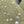 CLOVER 16 MOTIF WHITE MOP GOLD NECKLACE