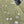 CLOVER 16 MOTIF WHITE MOP GOLD NECKLACE