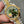 DATEJUST 31MM GOLD STEEL GREEN DIAL