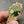 DATEJUST 36MM GOLD STEEL DIAMOND NUMERALS GREEN DIAL