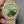 DATEJUST 36MM GOLD STEEL DIAMOND BEZEL GREEN DIAL