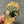 DATEJUST 31MM GOLD GREEN DIAL